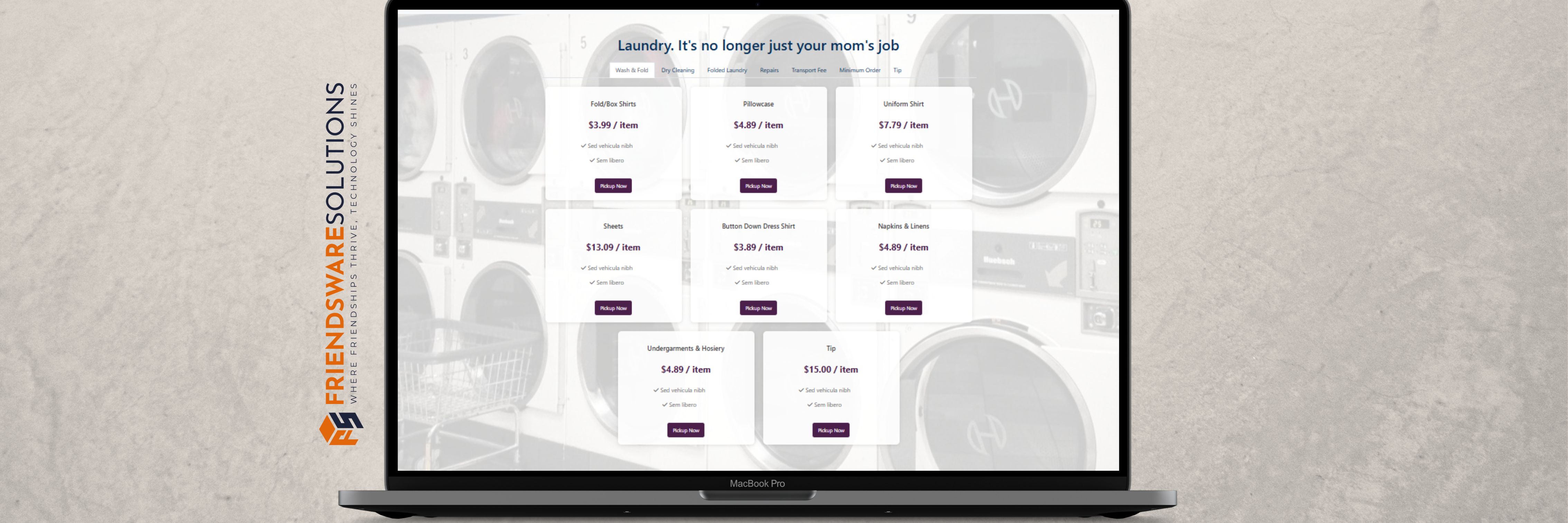 Professional Laundry Service Overview